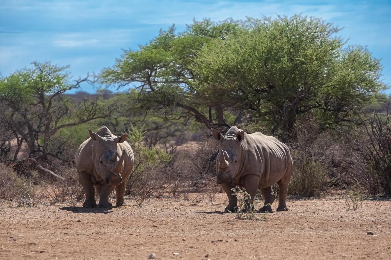 Naankuse Lodge Windhoek Exteriér fotografie